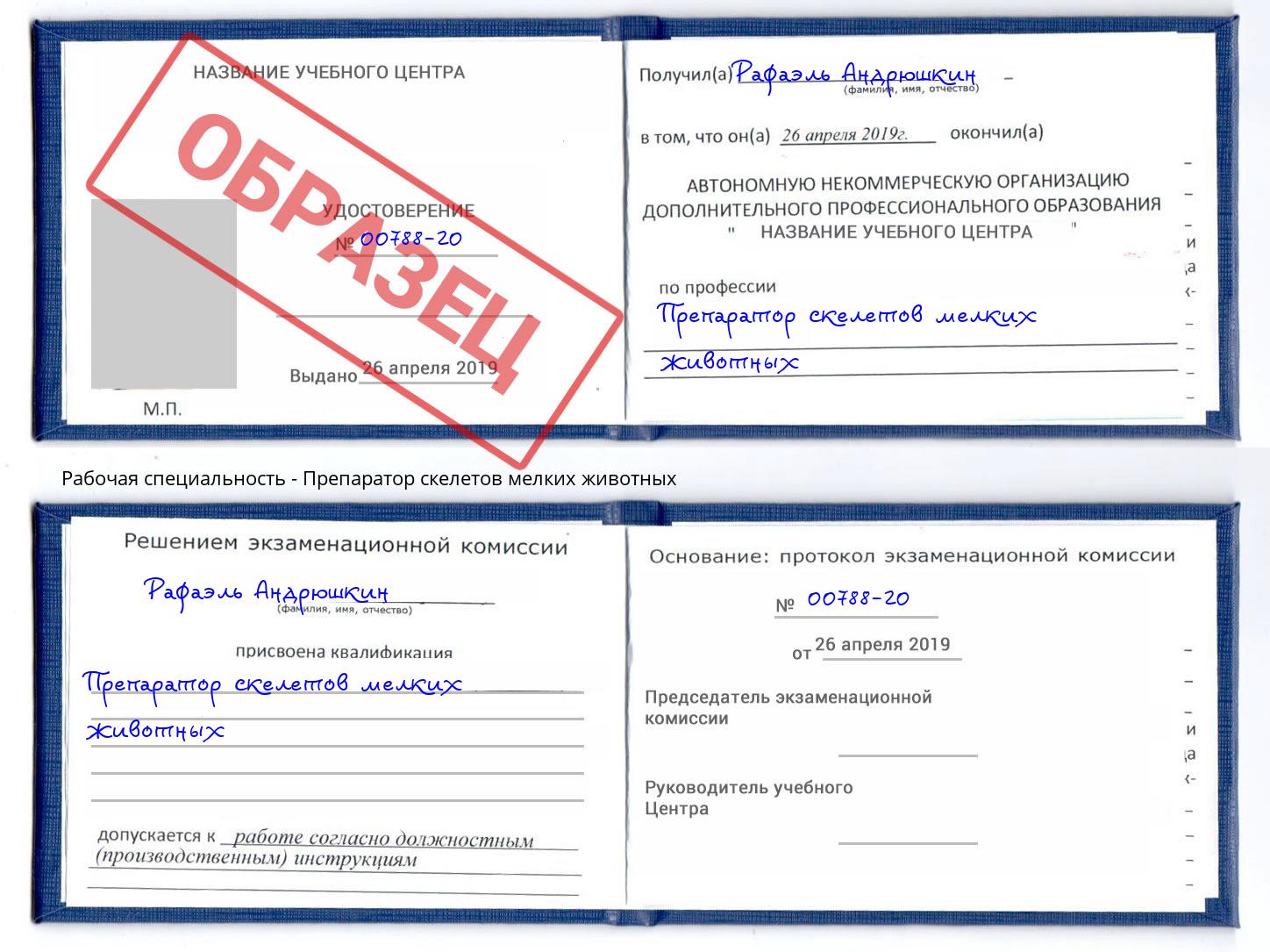 Препаратор скелетов мелких животных Самара