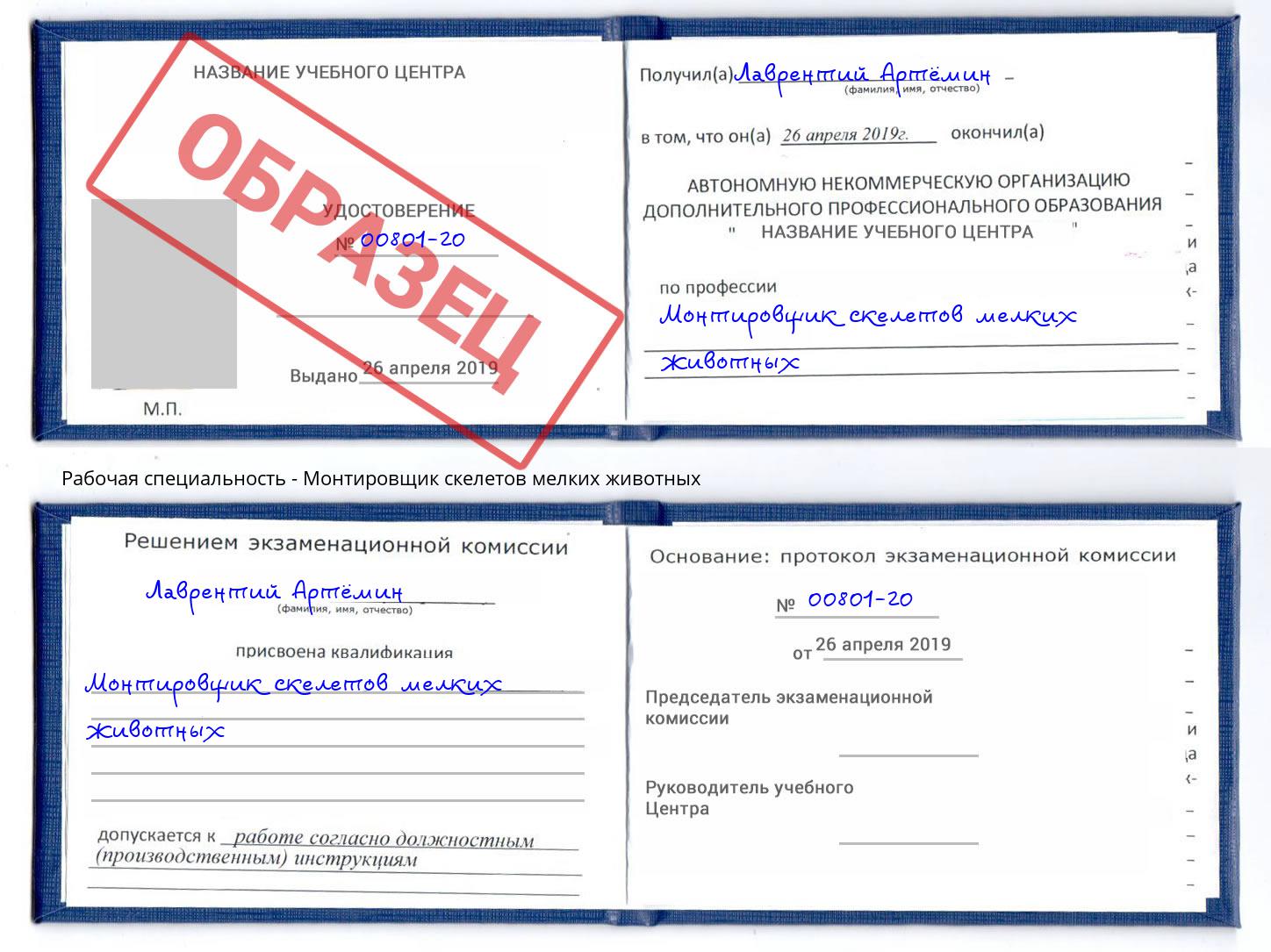 Монтировщик скелетов мелких животных Самара