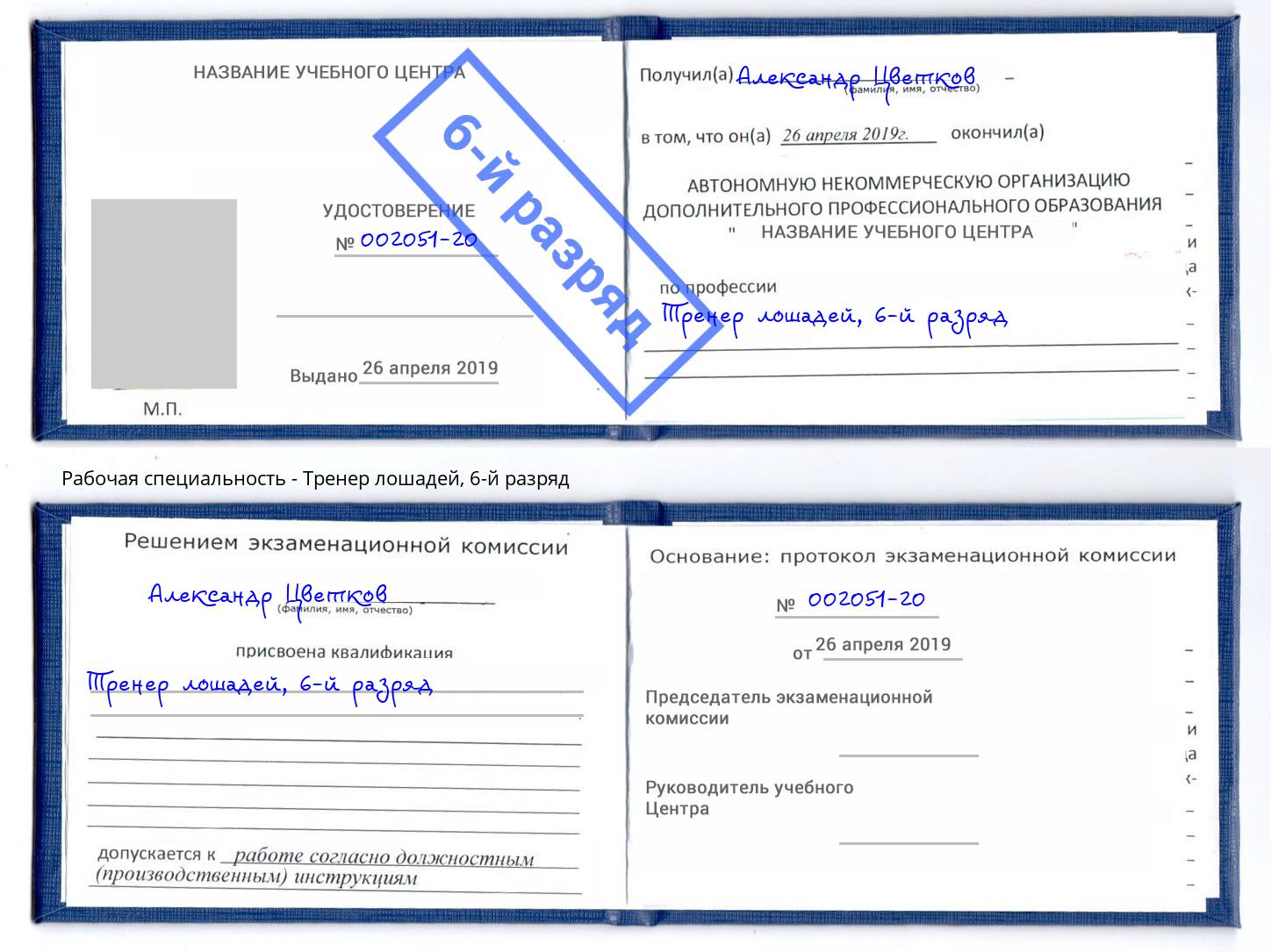 корочка 6-й разряд Тренер лошадей Самара